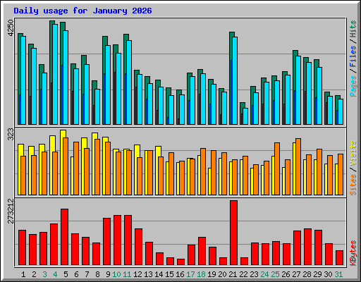 Daily usage for January 2026