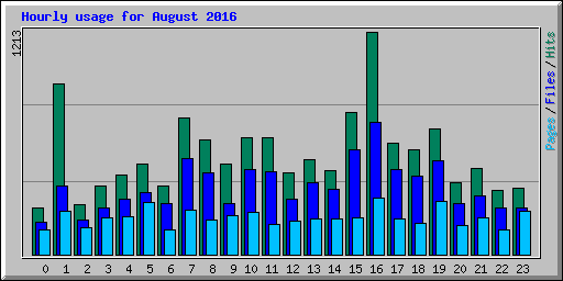 Hourly usage for August 2016