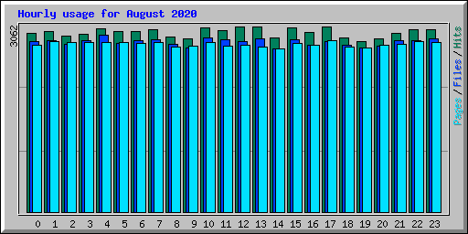 Hourly usage for August 2020
