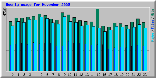 Hourly usage for November 2025