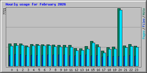 Hourly usage for February 2026