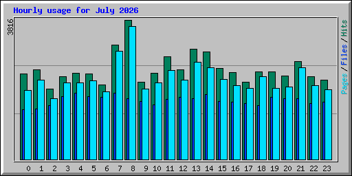 Hourly usage for July 2026